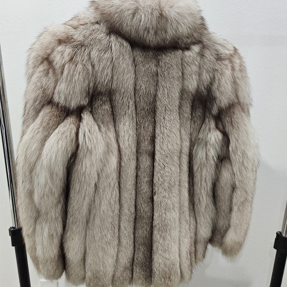 COPY - SAGA Fox M - Gorgeous! - Picture 14 of 17